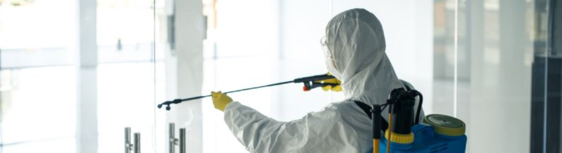 Dedetizadora em Seu Bairro  24 HORAS